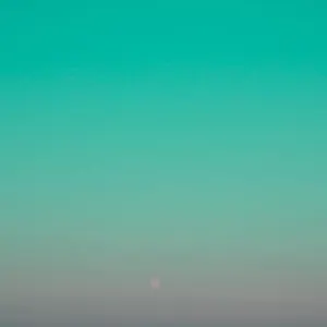 https://fourroots.hotelinveneto.com